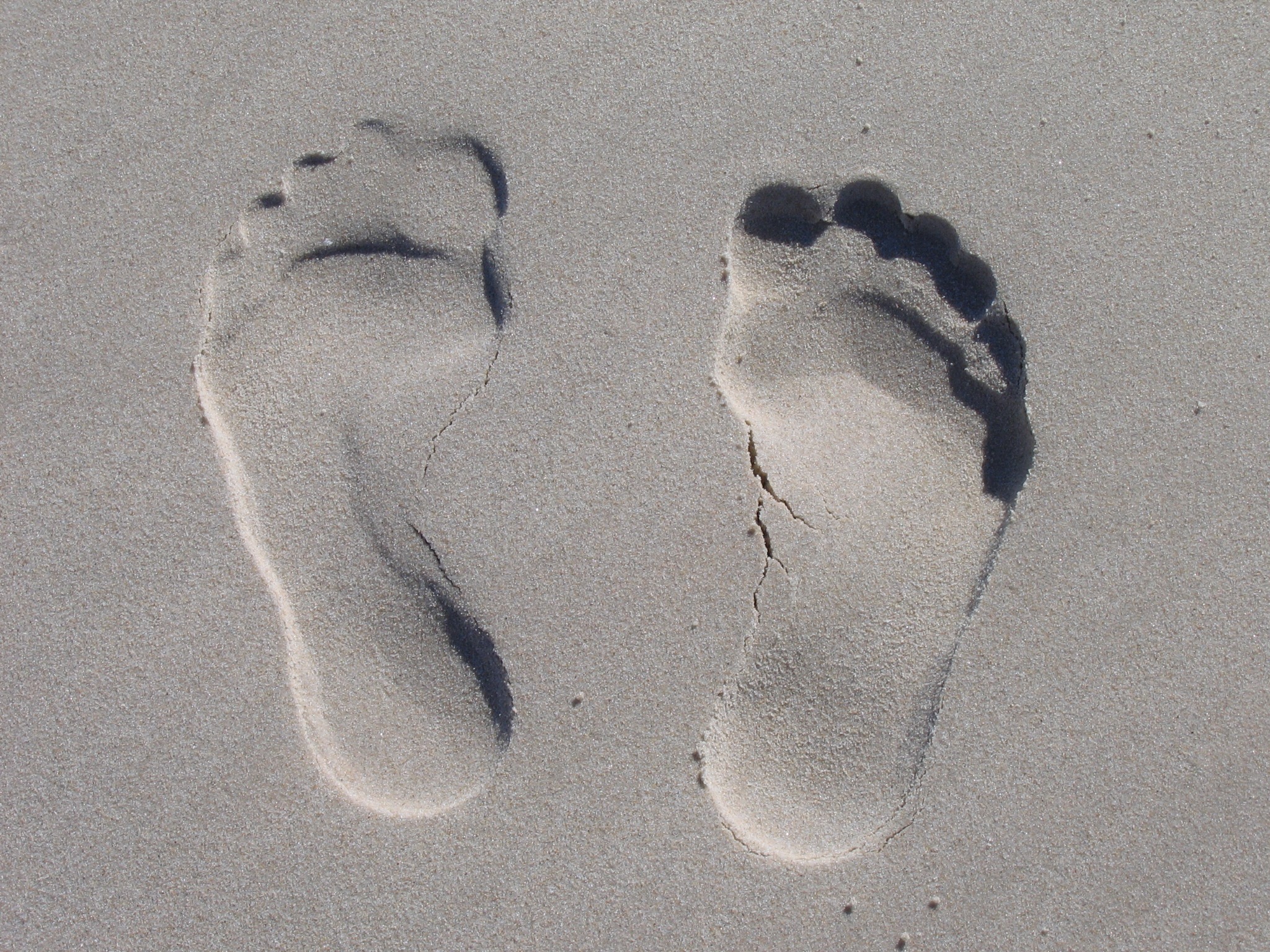 sandfeets